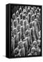 China 10MKm2 Collection - Terracotta Warriors-Philippe Hugonnard-Framed Stretched Canvas