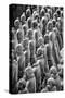 China 10MKm2 Collection - Terracotta Warriors-Philippe Hugonnard-Stretched Canvas