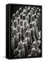 China 10MKm2 Collection - Terracotta Warriors-Philippe Hugonnard-Framed Stretched Canvas