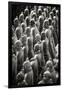 China 10MKm2 Collection - Terracotta Warriors-Philippe Hugonnard-Framed Photographic Print