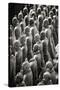 China 10MKm2 Collection - Terracotta Warriors-Philippe Hugonnard-Stretched Canvas