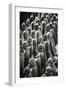 China 10MKm2 Collection - Terracotta Warriors-Philippe Hugonnard-Framed Photographic Print