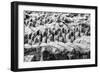 China 10MKm2 Collection - Terracotta Warriors-Philippe Hugonnard-Framed Photographic Print