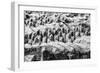 China 10MKm2 Collection - Terracotta Warriors-Philippe Hugonnard-Framed Photographic Print