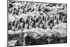 China 10MKm2 Collection - Terracotta Warriors-Philippe Hugonnard-Mounted Photographic Print