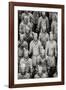 China 10MKm2 Collection - Terracotta Warriors-Philippe Hugonnard-Framed Photographic Print