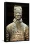 China 10MKm2 Collection - Terracotta Warriors-Philippe Hugonnard-Framed Stretched Canvas