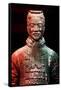 China 10MKm2 Collection - Terracotta Warriors-Philippe Hugonnard-Framed Stretched Canvas