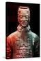 China 10MKm2 Collection - Terracotta Warriors-Philippe Hugonnard-Stretched Canvas