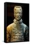 China 10MKm2 Collection - Terracotta Warriors-Philippe Hugonnard-Framed Stretched Canvas