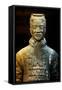 China 10MKm2 Collection - Terracotta Warriors-Philippe Hugonnard-Framed Stretched Canvas