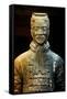 China 10MKm2 Collection - Terracotta Warriors-Philippe Hugonnard-Framed Stretched Canvas