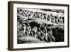 China 10MKm2 Collection - Terracotta Warriors-Philippe Hugonnard-Framed Photographic Print