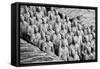 China 10MKm2 Collection - Terracotta Warriors-Philippe Hugonnard-Framed Stretched Canvas