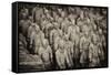 China 10MKm2 Collection - Terracotta Warriors-Philippe Hugonnard-Framed Stretched Canvas