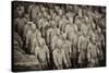 China 10MKm2 Collection - Terracotta Warriors-Philippe Hugonnard-Stretched Canvas