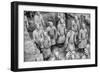 China 10MKm2 Collection - Terracotta Warriors-Philippe Hugonnard-Framed Photographic Print