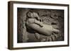 China 10MKm2 Collection - Terracotta Warriors-Philippe Hugonnard-Framed Photographic Print