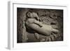 China 10MKm2 Collection - Terracotta Warriors-Philippe Hugonnard-Framed Photographic Print