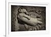 China 10MKm2 Collection - Terracotta Warriors-Philippe Hugonnard-Framed Photographic Print