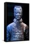 China 10MKm2 Collection - Terracotta Warriors-Philippe Hugonnard-Framed Stretched Canvas