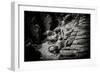 China 10MKm2 Collection - Terracotta Warriors-Philippe Hugonnard-Framed Photographic Print