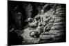 China 10MKm2 Collection - Terracotta Warriors-Philippe Hugonnard-Mounted Photographic Print