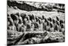 China 10MKm2 Collection - Terracotta Warriors-Philippe Hugonnard-Mounted Photographic Print