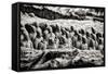 China 10MKm2 Collection - Terracotta Warriors-Philippe Hugonnard-Framed Stretched Canvas