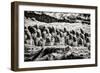 China 10MKm2 Collection - Terracotta Warriors-Philippe Hugonnard-Framed Photographic Print