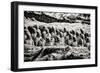 China 10MKm2 Collection - Terracotta Warriors-Philippe Hugonnard-Framed Photographic Print