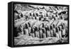 China 10MKm2 Collection - Terracotta Warriors-Philippe Hugonnard-Framed Stretched Canvas