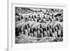 China 10MKm2 Collection - Terracotta Warriors-Philippe Hugonnard-Framed Photographic Print