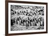 China 10MKm2 Collection - Terracotta Warriors-Philippe Hugonnard-Framed Photographic Print