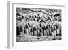 China 10MKm2 Collection - Terracotta Warriors-Philippe Hugonnard-Framed Photographic Print