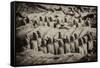 China 10MKm2 Collection - Terracotta Warriors-Philippe Hugonnard-Framed Stretched Canvas