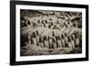 China 10MKm2 Collection - Terracotta Warriors-Philippe Hugonnard-Framed Photographic Print