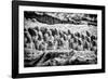 China 10MKm2 Collection - Terracotta Warriors-Philippe Hugonnard-Framed Photographic Print