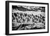 China 10MKm2 Collection - Terracotta Warriors-Philippe Hugonnard-Framed Photographic Print