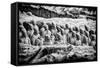 China 10MKm2 Collection - Terracotta Warriors-Philippe Hugonnard-Framed Stretched Canvas