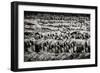 China 10MKm2 Collection - Terracotta Warriors-Philippe Hugonnard-Framed Photographic Print