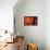 China 10MKm2 Collection - The Door God - Chinese Lanterns-Philippe Hugonnard-Framed Stretched Canvas displayed on a wall