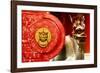 China 10MKm2 Collection - The Door God - Dragon-Philippe Hugonnard-Framed Photographic Print