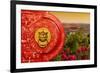 China 10MKm2 Collection - The Door God - Forbidden City-Philippe Hugonnard-Framed Photographic Print