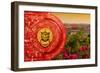 China 10MKm2 Collection - The Door God - Forbidden City-Philippe Hugonnard-Framed Photographic Print