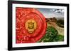 China 10MKm2 Collection - The Door God - Great Wall of China-Philippe Hugonnard-Framed Photographic Print