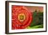 China 10MKm2 Collection - The Door God - Rice Terraces-Philippe Hugonnard-Framed Photographic Print