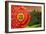 China 10MKm2 Collection - The Door God - Rice Terraces-Philippe Hugonnard-Framed Photographic Print