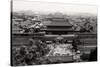 China 10MKm2 Collection - The Forbidden City - Beijing-Philippe Hugonnard-Stretched Canvas