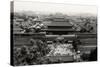 China 10MKm2 Collection - The Forbidden City - Beijing-Philippe Hugonnard-Stretched Canvas